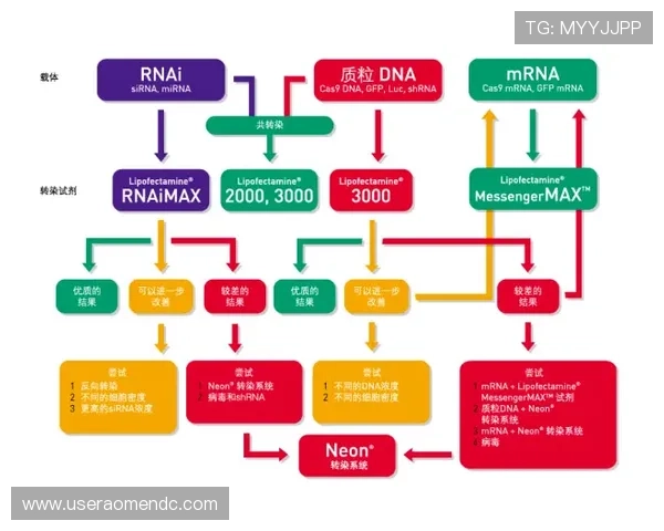 回力加盟官网：品牌实力与市场前景分析助你做出明智加盟决策