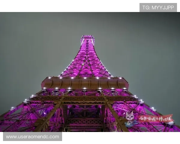 巴黎人官网大全：巴黎人官网手机客户端使用指南与常见问题解决方案