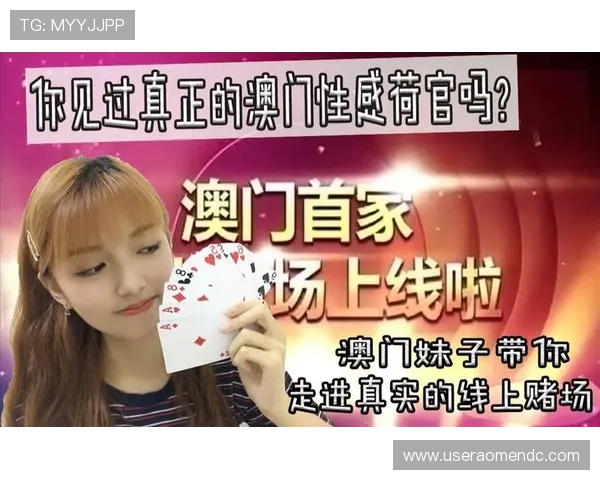 澳门六大赌牌的具体分类及其申请流程,帮助投资者全面了解相关政策