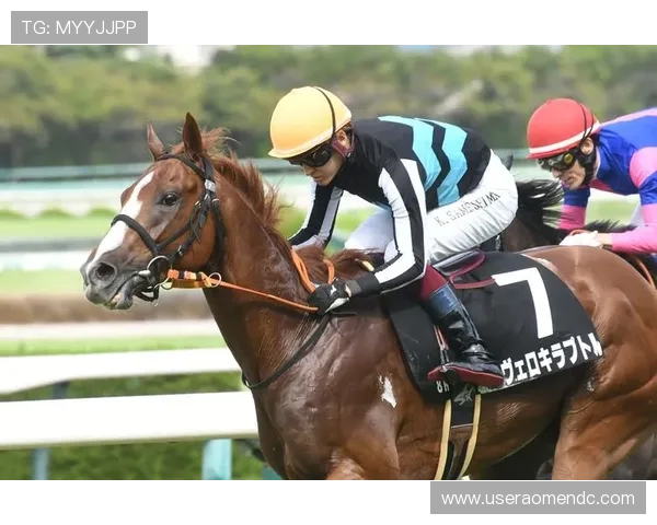 澳门赛马今天直播赛事时间表及赛马精彩瞬间盘点