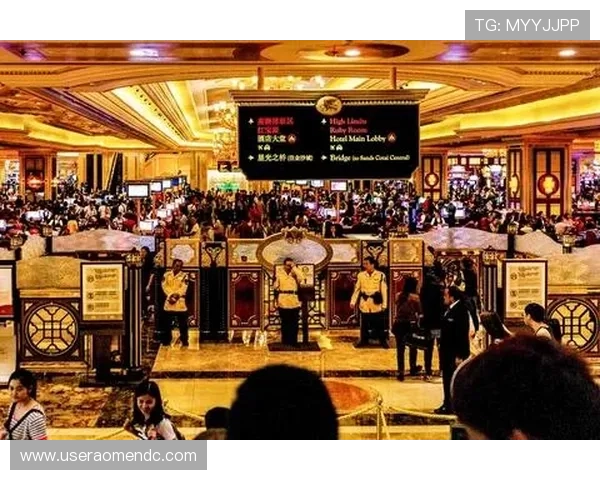 澳门银河娱乐集团有限公司在澳门博彩行业中的合作伙伴关系与联盟策略分析