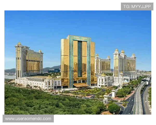 银河娱乐城下载安全性分析,确保玩家在下载过程中无后顾之忧 银河娱乐城下载安全性分析,确保玩家在下载过程中无后顾之忧