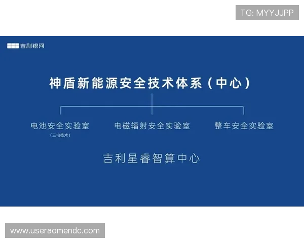 99银河官方网站安全登录保障措施解析确保玩家账号信息安全与游戏顺畅体验 99银河官方网站安全登录保障措施解析确保玩家账号信息安全与游戏顺畅体验