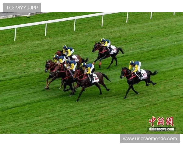 hkjc官方网站指南：如何高效浏览香港赛马会的在线投注平台与客户服务体验