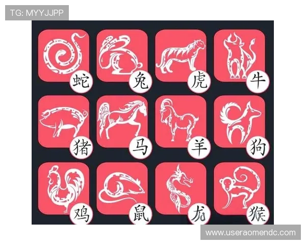 一码一肖:如何利用传统生肖数字组合提升运势与生活品质
