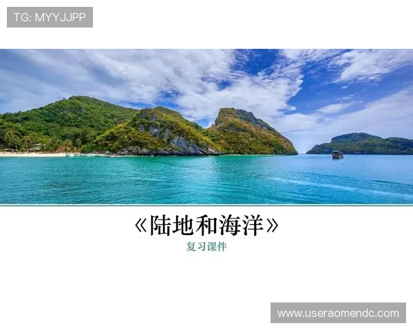 海洋之神国际登录入口稳定性提升及常见问题解决方案