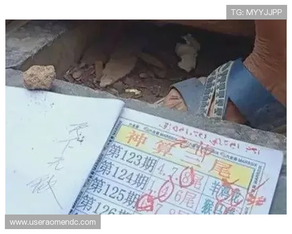 澳门六合彩线上手机版优惠多多，丰富奖励等你来领取，提升中奖几率的最佳选择