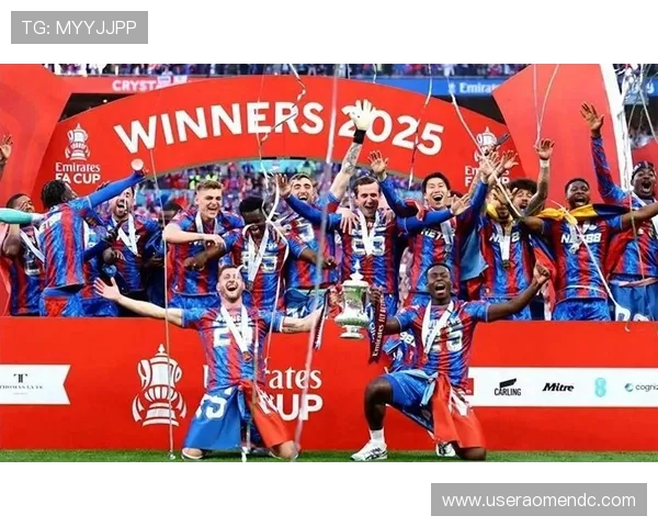 水晶宫队如何应对英超激烈竞争的策略探讨