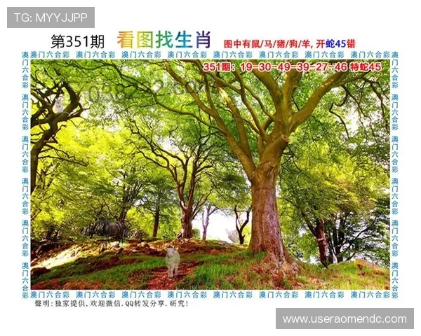 澳门财神官网平台安全可靠,提供丰富的游戏选择与优质的客户服务体验 澳门财神官网平台安全可靠,提供丰富的游戏选择与优质的客户服务体验